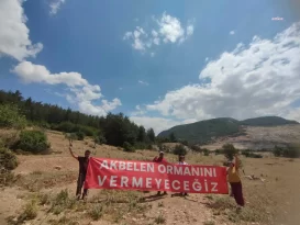 İstanbul Tabip Odası, Akbelen Ormanı’ndaki Ağaç Kesimine Karşı Çıkıyor