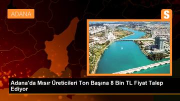 Adana’da Mısır Üreticileri Ton Başına 8 Bin TL Fiyat Bekliyor