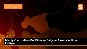 İslahiye’de Üretilen Pul Biber ve Salçalar Avrupa’ya İhraç Ediliyor