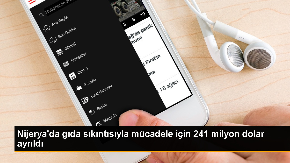 Nijerya Hükümeti, Gıda Sıkıntısıyla Mücadele İçin 241 Milyon Dolar Ayırdı