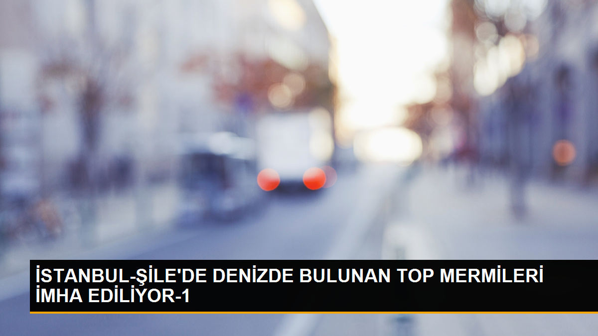 Şile Sofular Köyü’nde Denizde Bulunan Top Mermileri İmha Ediliyor