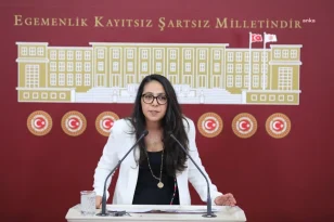 TİP Milletvekili Sera Kadıgil, AK Parti Sözcüsüne Yanıt Verdi